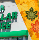 A Dollar Tree storefront