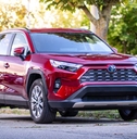 Toyota RAV4 stands outside under a tree at sunrise