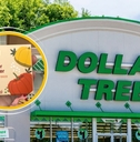 new month arrivals at dollar tree
