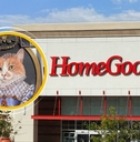 HomeGoods store with cat wall decor