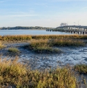 South Carolina landscape showing bridge with camper driving on it and marshy coast