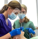 dentist and dental hygienist working