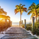 sunny florida beach boardwalk