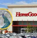 HomeGoods exterior with peacock plate