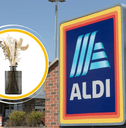 Original image of Aldi store logo and flower diffuser vase product 