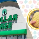New March Dollar Tree Home Items Worth Combing the Aisles For