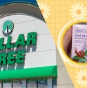 New April Arrivals at Dollar Tree That Are Likely To Sell Out