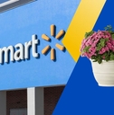 Under $15 Walmart Deals to Grab This April 