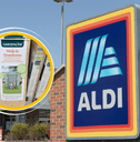 Collage of Aldi storefront and a walk-in greenhouse product