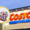 Costco store with flowers