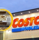 Costco Template with Kirkland Signature Carrot Bar Cake