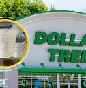 Collage of Dollar Tree and a white garden planter product