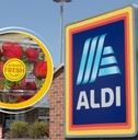 Aldi Template with Strawberries
