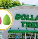 Dollar Tree storefront collage with a makeup sponge duo product
