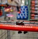 Costco shopping cart