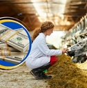 Female veterinarian with stack of money collage