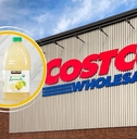 14 Random (But Useful) Costco Kirkland Deals Under $20 This Month