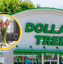 Collage of Dollar Tree storefront and a vase product