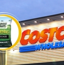 Costco Template with Calbee Harvest Snaps Green Pea Snacks