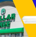 Dollar Tree's $1.50 Organizer Bin, Plus 9 More Useful Deals You'll Want to Grab