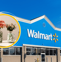 Collage of Walmart storefront and green and white vase products