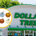 Collage of Dollar Tree and Pumpkin velvet decor product