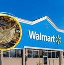 Collage of Walmart storefront and a golden leaf decor product