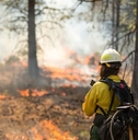 Wildfire