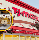 Collage of TJ Maxx storefront and a kitchen towel set