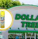 12 Best Dollar Tree Cleaning Buys if Your Family’s on a Tight Budget.png
