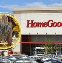 Home Goods storefront next to cutting board 
