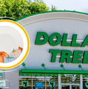 Dollar Tree Store with fall plate 