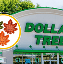 Dollar Tree metallic plastic leaf dishes