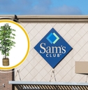 X Sam's Club Items That Look Like West Elm (For Less)