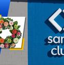 sams club arrivals featured image