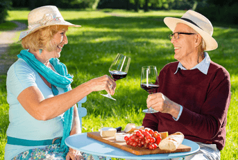 Happy senior couple having a picnic