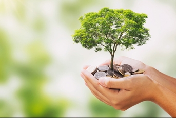 tree growing on pile of money in hand
