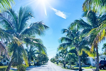 way to the beach with palm trees in key west florida