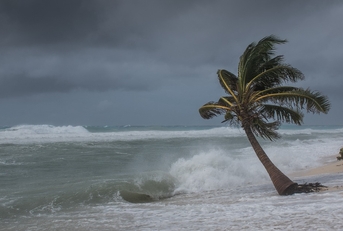 hurricane Delta tearing up the coastline of Grand Cayman