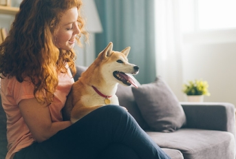 A happy woman with a dog she&#x27;s pet sitting while house sitting
