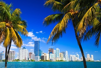 miami skyline seen from the beach with palm trees in daylight.