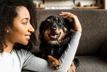  beautiful african women sitting with her dog in lounge at home. 