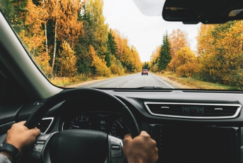driving a car down a fall road