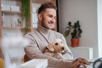 dog sitting at the desk indoors