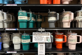 Stanley Tumbler trend