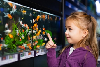 girl looking at colorful fish