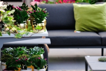 interior design in garden centre