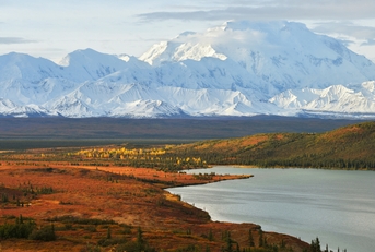 denali mountain and wonder lake