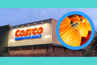 Costco exterior / jumbo pumpkins