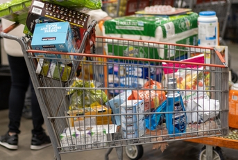 Shopping carts loaded